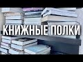 ТУР ПО КНИЖНЫМ ПОЛКАМ #1📚что читаю сейчас