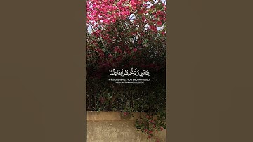 #حفظ_القرآن_الكريم #اكسبلور #ماتيسر_من_القرآن #سورة_النمل