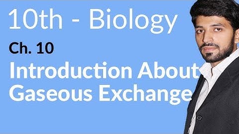 10th Class Biology Chapter 1 - Introduction About Gaseous Exchange - Class 10 Biology Chapter 1