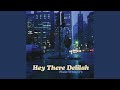 Miniature de la vidéo de la chanson Hey There Delilah (Instrumental)