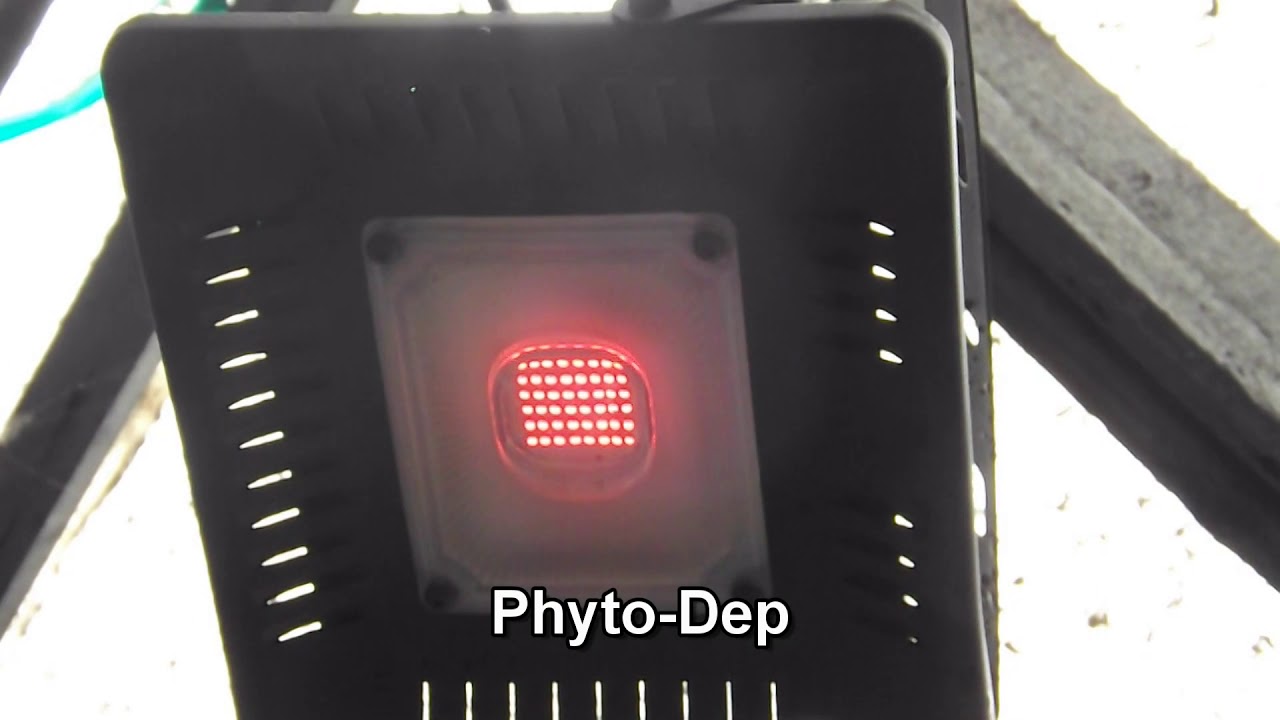 50 Watt Flower Initiator Phyto-Dep Bud Booster