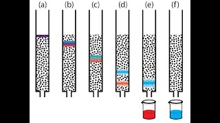 Column Chromatography Procedure| column chromatography| chromatography