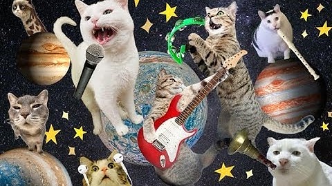 MÈO - BMKTCR (OFFICIAL MUSIC VIDEO)