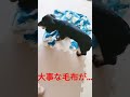 布団が……