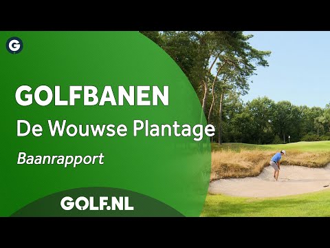 Baanrapport: Wouwse Plantage