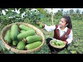 Fresh winter melon from the farm is so sweet / Winter melon recipes / Cooking with Sreypov