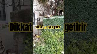 Bu Video Uyku Getirir Destek Için Abone Ol Beğen Yoruma Ben Yaz