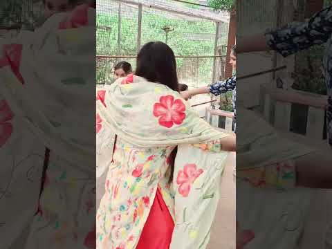 shyama pyari kunj bihari-bprank #trendingshorts #virdavan #love