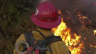 A relative newcomer to the firefighting toolbox is making a splash across southern California.