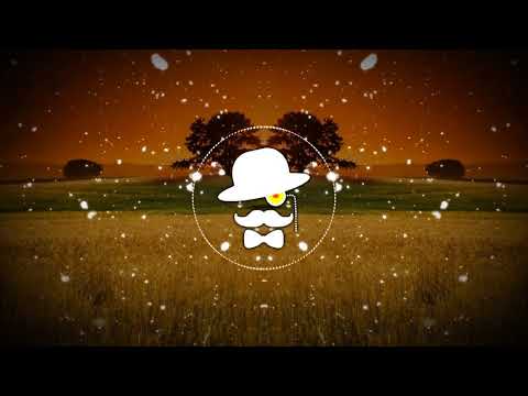 Lil Skies - Red Roses ft. Landon Cube (flamey Remix)(Bass Boosted)(HD)