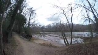 Timelapse Run #1