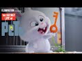 The Secret Life of Pets - Kevin Hart Is Snowball (HD) - Illumination