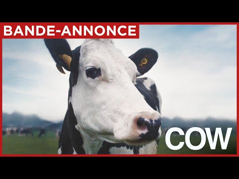 COW | Bande-annonce