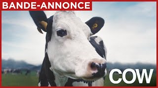 Bande annonce Cow 