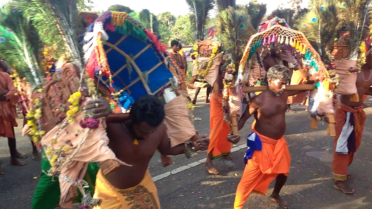 Puliyampatti thai kavadi going to balani patha yathirai dance