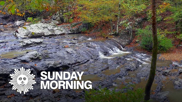 Nature: Autumn colors in Arkansas