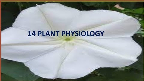 Refresher Course Module  Class-10 ; Lesson -14.              Plant physiology