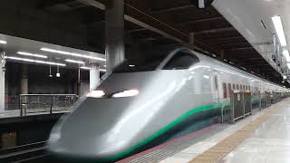 連結新幹線　E3系シルバーカラー　E2系200系カラー　上野駅通過