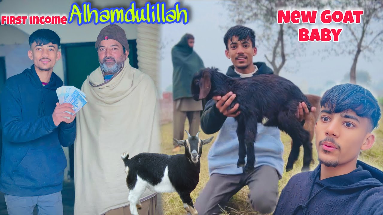 ALHAMDULILAH First income A Gai 😍 /New Goat 🐐 La Rahy Ha 😊/Abdullah Jutt/ 