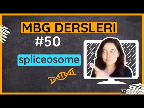 Video: Spliceosome bir ribozim midir?
