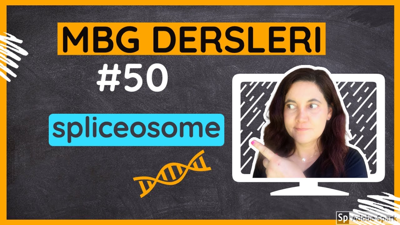 Moleküler Biyoloji ve Genetik Dersleri #50: Spliceosome