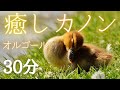 【カノン】オルゴール 赤ちゃんも寝る 癒しの寝かしつけ音楽 子守唄 名曲クラシック【baby lullaby music 睡眠用BGM】