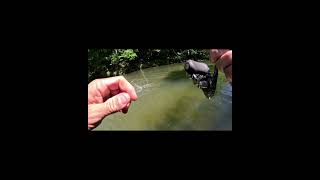 Tube Time for Smallmouth! #fishing #river #bassfishing #bass #fish #smallmouthbass #pittsburgh