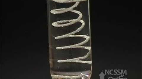 Single Displacement AgNO3 and Cu