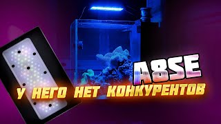: A8SE    
