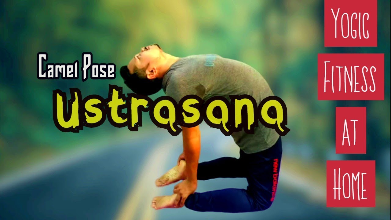 Ustrasana In Bengali Ustrasana In Bengali