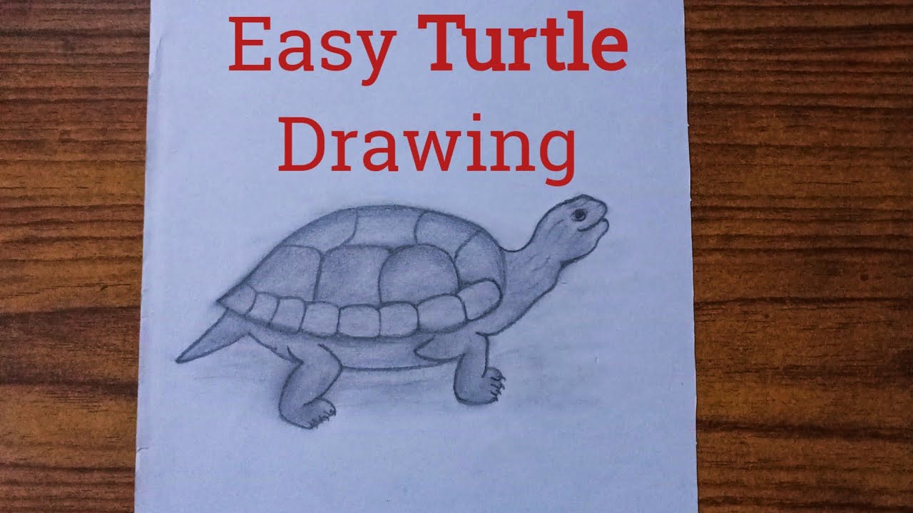 Easy & Fun Sea Turtle Tutorial for Kids! 