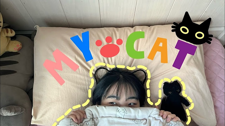 [자체제작 MV.] 이영지 - My cat