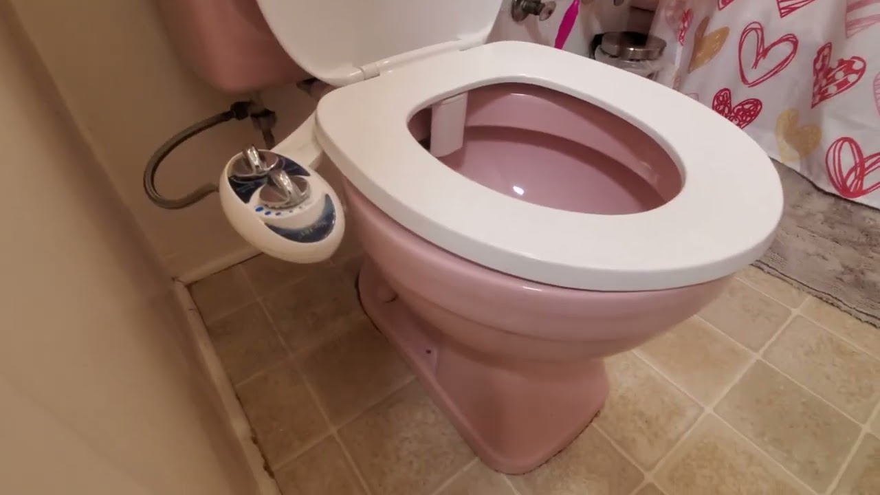 Luxe Bidet Neo 185 (Elite Series) - Review