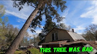 Very dangerous tree removal | tornado devastation in Amory Mississippi