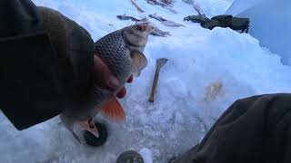 Подледная рыбалка в Якутии 2024. Река ТЮНГ