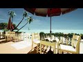 Caribbean Beach Cafe Ambience With Music - Waves, Seagulls for Relaxing, Sleeping & Studying