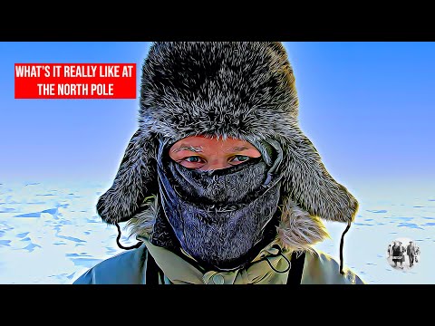 Video: Trăiește cineva la polul nord?