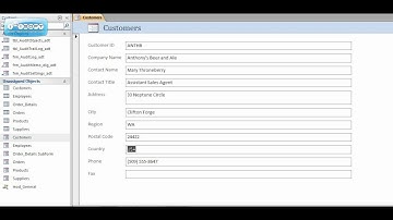 Microsoft Access Database - Audit Tool Utility Offer (Using MS Access Forms)