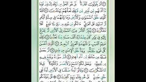 سورة السجدة الآيات 5-7 تلاوة الشيخ أيمن سويد #قليل_دائم_خير