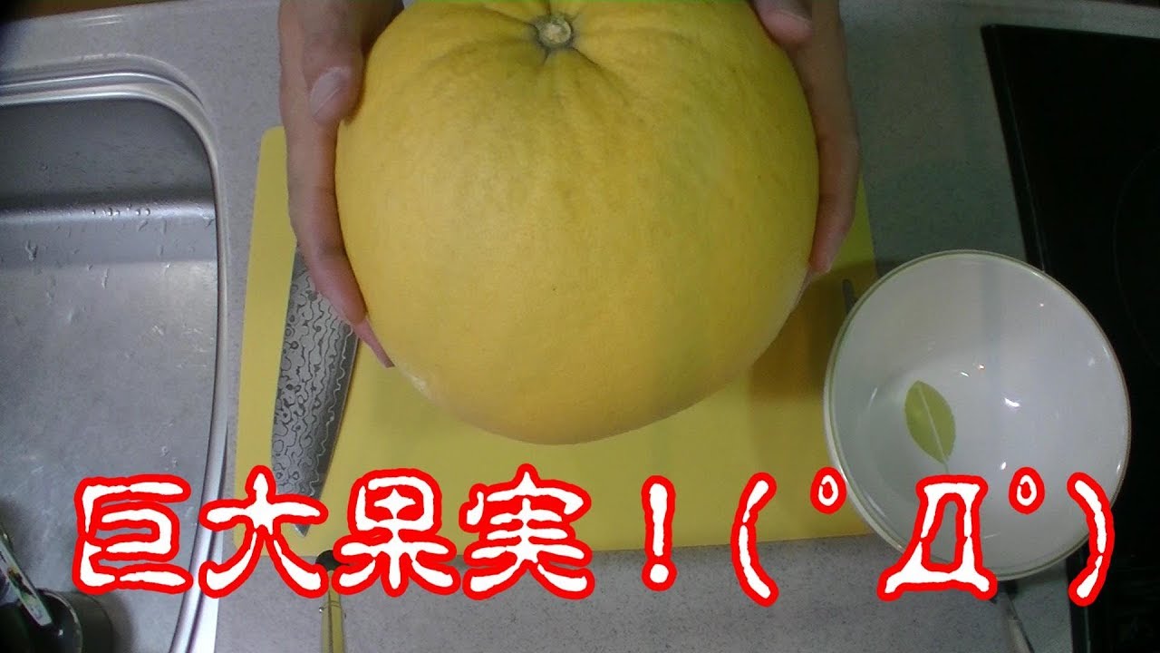 巨大果実 晩白柚 ばんぺいゆ 皮の砂糖漬け Youtube