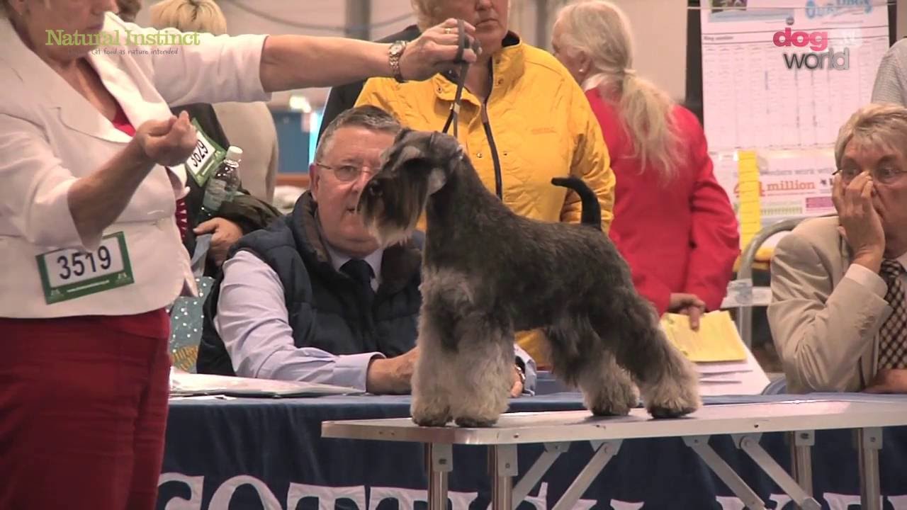 utility group kennel club