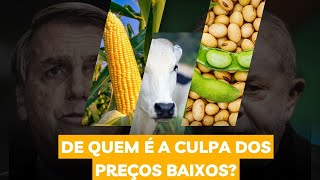 Soja, Milho e Gado. Porque os preços estão caindo?