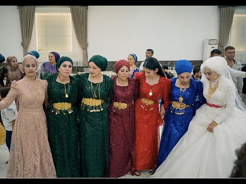 Şeğmuse Erbani  |  Full Cidi  | Mardin Omuz Halayı 2023