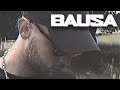 BAUSA - Danke (Official Music Video) [prod. von Bounce Brothas]