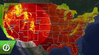 Seasonal Allergy Forecast: Pollen and Mold Counts, Weed Season, August 21, 2020