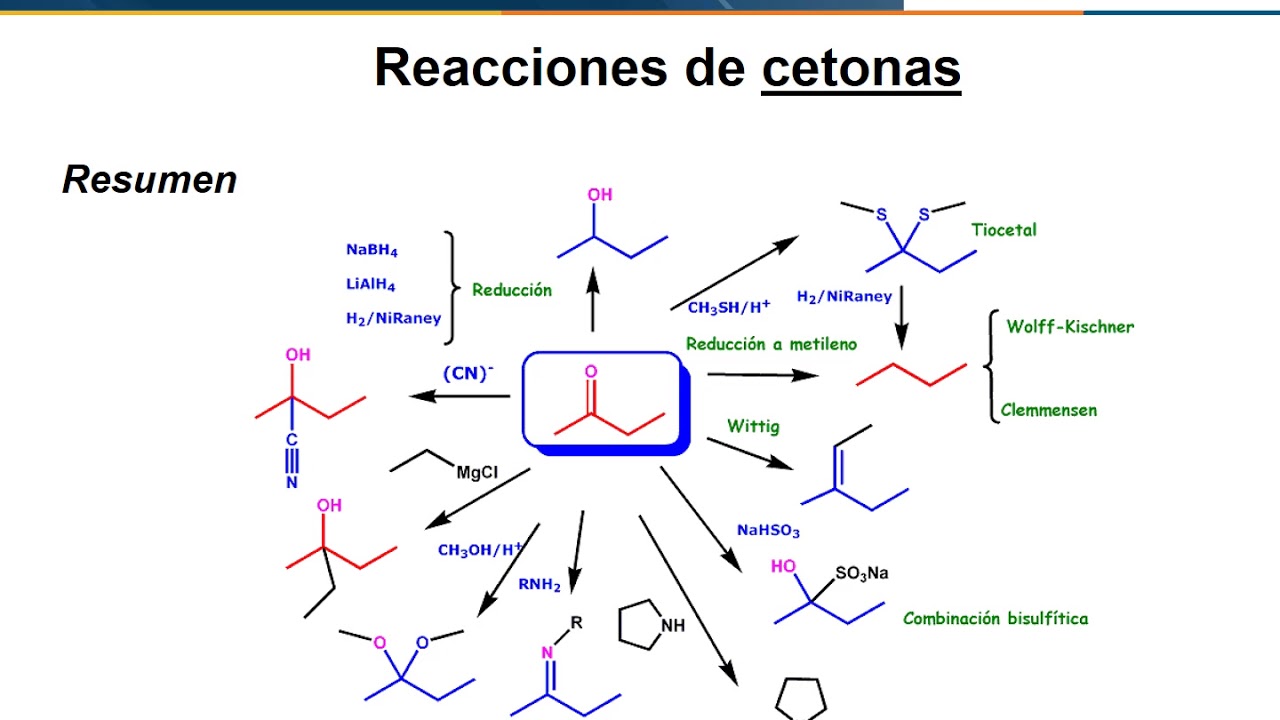 Tiras para medir cetonas cetosis cetonas cetonas