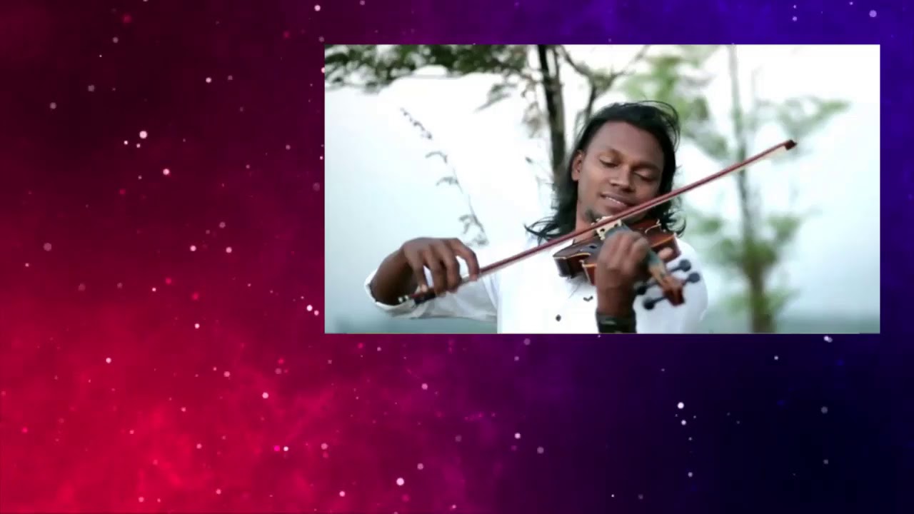 Violin by M S Viswanath