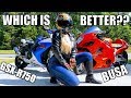 Is Owning a Hayabusa Worth It?
