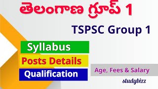 TSPSC Group 1 Syllabus, Group 1 Qualification, Group 1 Age , Group 1 Exam Pattern , Group 1 Posts TSPSC Group 1 Syllabus, Group 1 Qualification, Group 1 Age , Group 1 Exam Pattern , Group 1 Posts