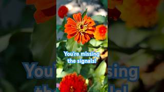 The Warning Signals You're Ignoring Right Now